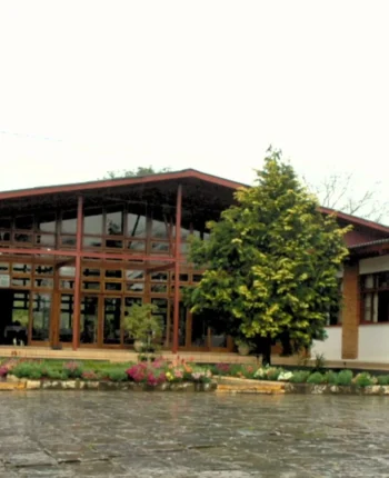 blog-1
