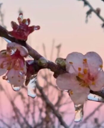 blog-1