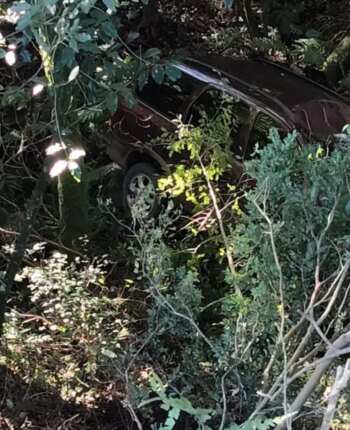 blog-1