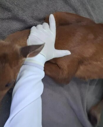 blog-1